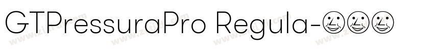 GTPressuraPro Regula字体转换